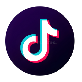 TikTok Icon